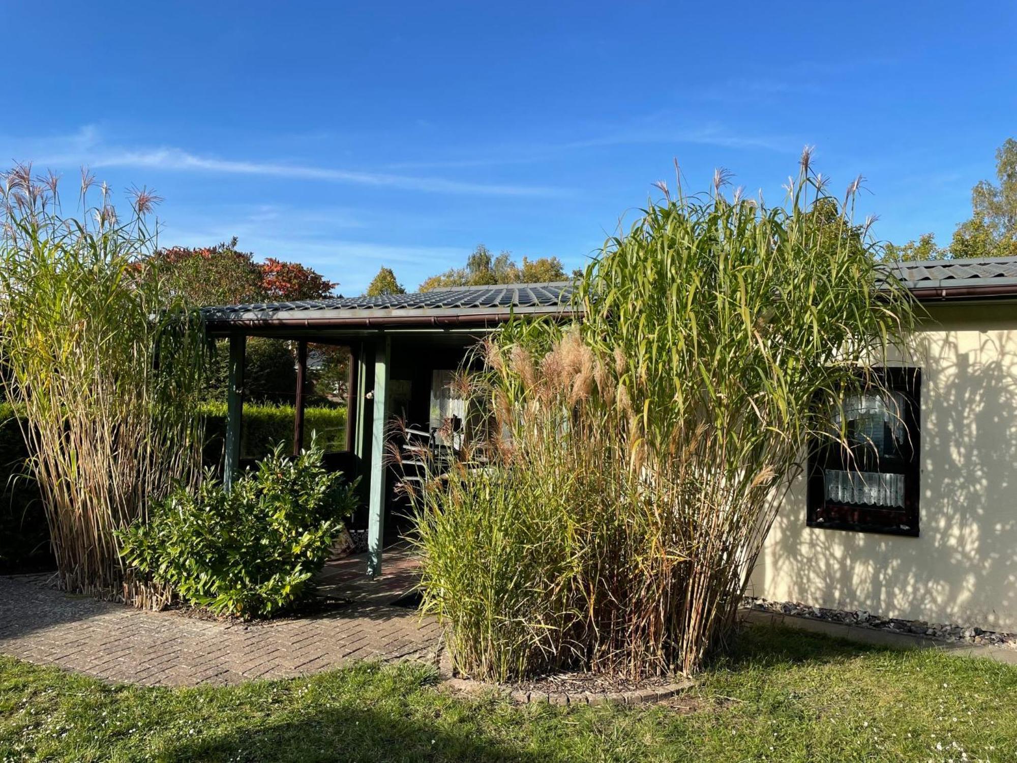 Holiday Home Am Walde-1 By Interhome Dobbertin Exterior foto